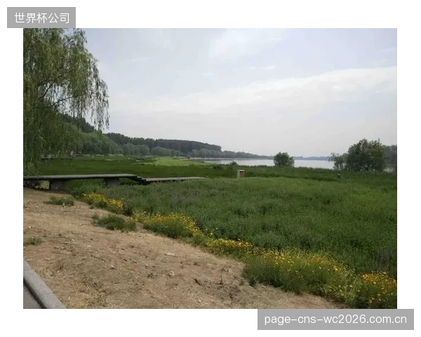 深圳马拉松的“无瓶化”尝试,终结了赛道终点塑料瓶堆积如山的历史 深圳马拉松的“无瓶化”尝试,终结了赛道终点塑料瓶堆积如山的历史